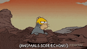 Episode 2 GIF by The Simpsons