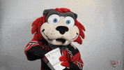 Hockey Popcorn GIF by Huntsville Havoc