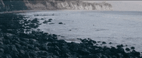 the jazz june GIF by Topshelf Records