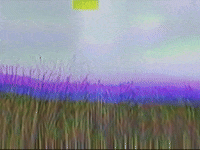 Footage Oaf GIF by jorgemariozuleta