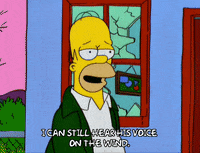 homer simpson GIF