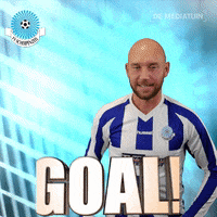 Voetbalvereniging_Scherpenzeel voetbal bal blauwwit hoofdklasse GIF