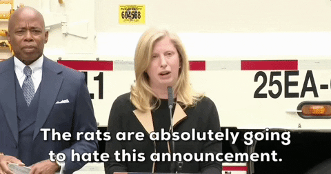 New York City Nyc GIF by GIPHY News