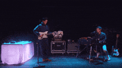 polyvinylrecords band bass live music synth GIF