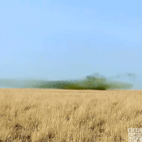 David Tennant GIF by BBC America