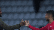 France Football GIF by Ligue 1