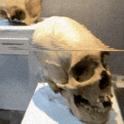 Skull Et GIF by Christian Quicaño