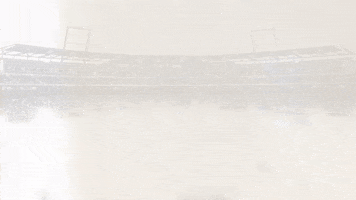 creighton bluejays GIF by Creighton University Athletics