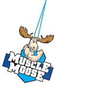 Swinging Rear View Mirror Sticker by MuscleMooseHQ