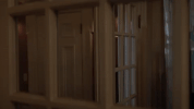 audience network GIF by Ice on Audience