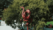 MSUMoorhead fire dragons flames fired up GIF