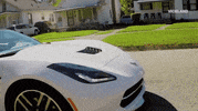 detroit doughboyz cashout GIF by NOISEY