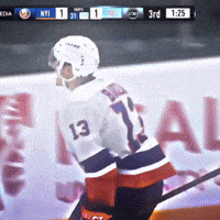 Mathew Barzal Bailey GIF