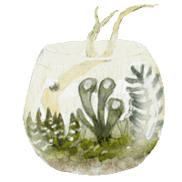Home Plant Sticker