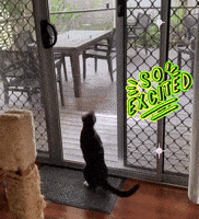 So Excited Yes GIF