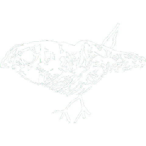 Atelier-Vrai giphyupload Sticker