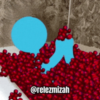 Animation Vs GIF