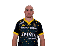 Sport Celebration Sticker by Stade Rochelais