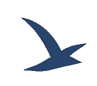 Mouette Sticker by Saint Benoît