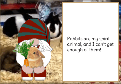 Bunny Rabbit Gnome GIF