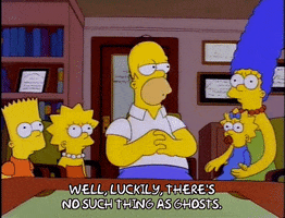 homer simpson GIF