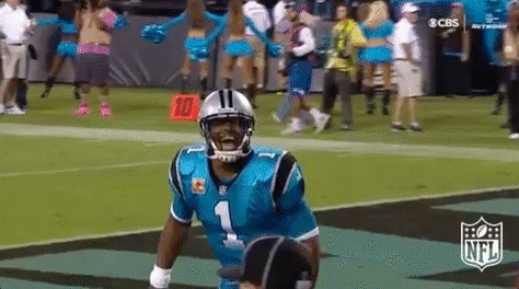 carolina panthers football GIF by NFL