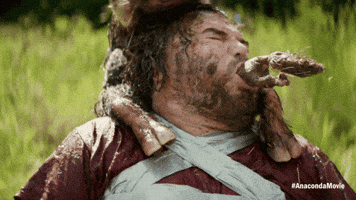 Celebration Goal GIF by Sony Pictures