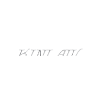 New Artist Vinyl Record Sticker by Bayonet Records