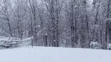 Spring Snowstorm Hits Portions of West Virginia