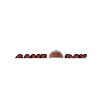 Gameday Sticker by Liga Chevron CIBACOPA