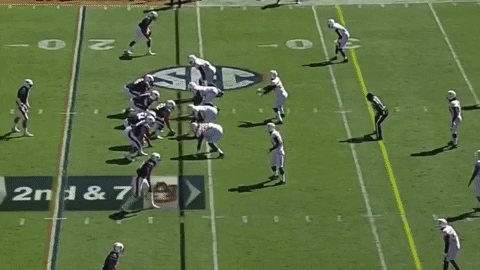 ryansterritt giphygifmaker GIF