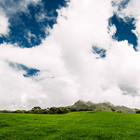 ian-schenkel giphygifmaker giphyattribution GIF