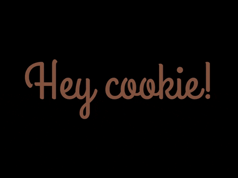 cookiesdoordebus giphygifmaker vlaardingen koekjes cookiesdoordebus GIF