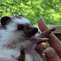 Give Me Five GIF by Microsoft Edge