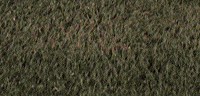Womens Lacrosse GIF by Lafayette Leopards