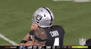 2018 Nfl Football GIF by NFL
