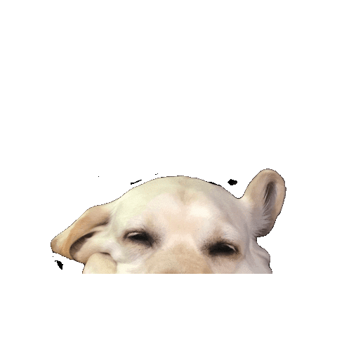 Tired Dog Sticker by Mimosa