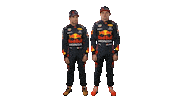 Red Bull Sport Sticker by Oracle Red Bull Racing