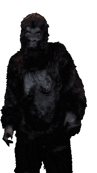 Frank Sticker by Online Monkeys