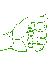 soroushn like thumbsup soroush soroushnowbakht Sticker