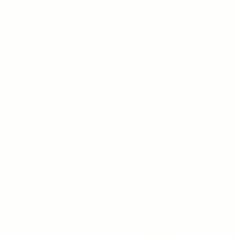 bergham giphyupload giphystrobetesting GIF