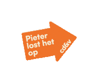 Bridgeneers cdv pieterlosthetop cdvantwerpen Sticker