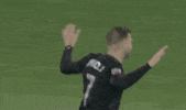 celebrate dc united GIF by Major League Soccer