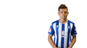 2 Bundesliga Football Sticker by Karlsruher SC