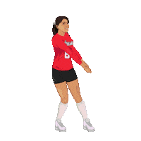 Nebraska Cornhuskers Volleyball Sticker by Panini America