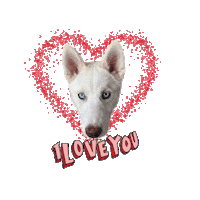 Love Sticker