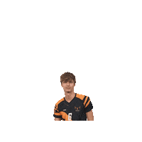 Sticker by Fenice Pallavolo Roma