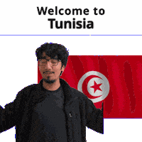 Tunisia Tn Sticker