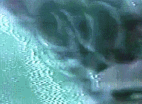 Lights GIF by nothing,nowhere.