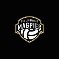 Logo Netball GIF by CollingwoodFC